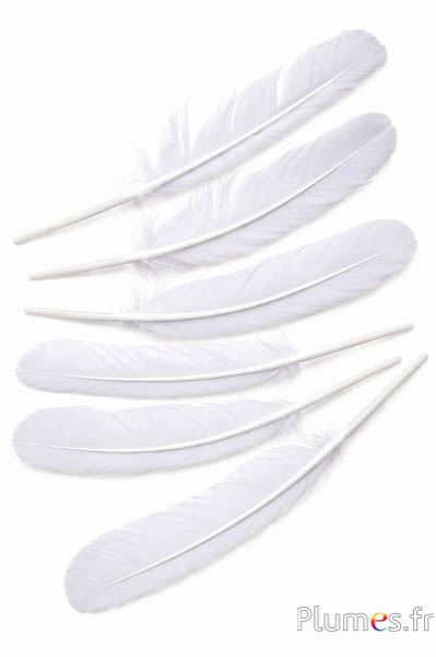 Cygne - 30-33 cm - blanc